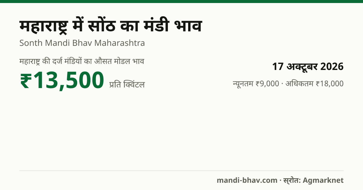 महाराष्ट्र में सोंठ का मंडी भाव 17 अक्टूबर 2026: औसत मोडल ₹13,500 प्रति क्विंटल, भाव के रुझान का चार्ट