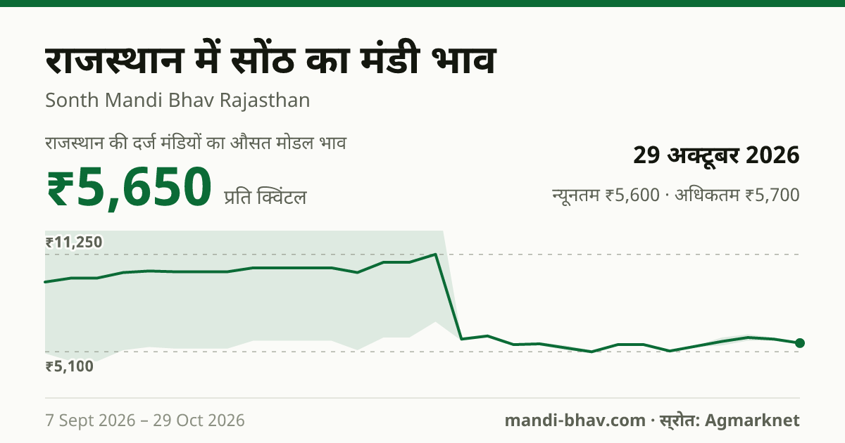 राजस्थान में सोंठ का मंडी भाव 29 अक्टूबर 2026: औसत मोडल ₹5,650 प्रति क्विंटल, भाव के रुझान का चार्ट