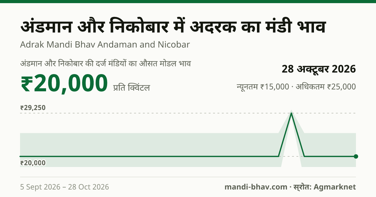 अंडमान और निकोबार में अदरक का मंडी भाव 28 अक्टूबर 2026: औसत मोडल ₹20,000 प्रति क्विंटल, भाव के रुझान का चार्ट