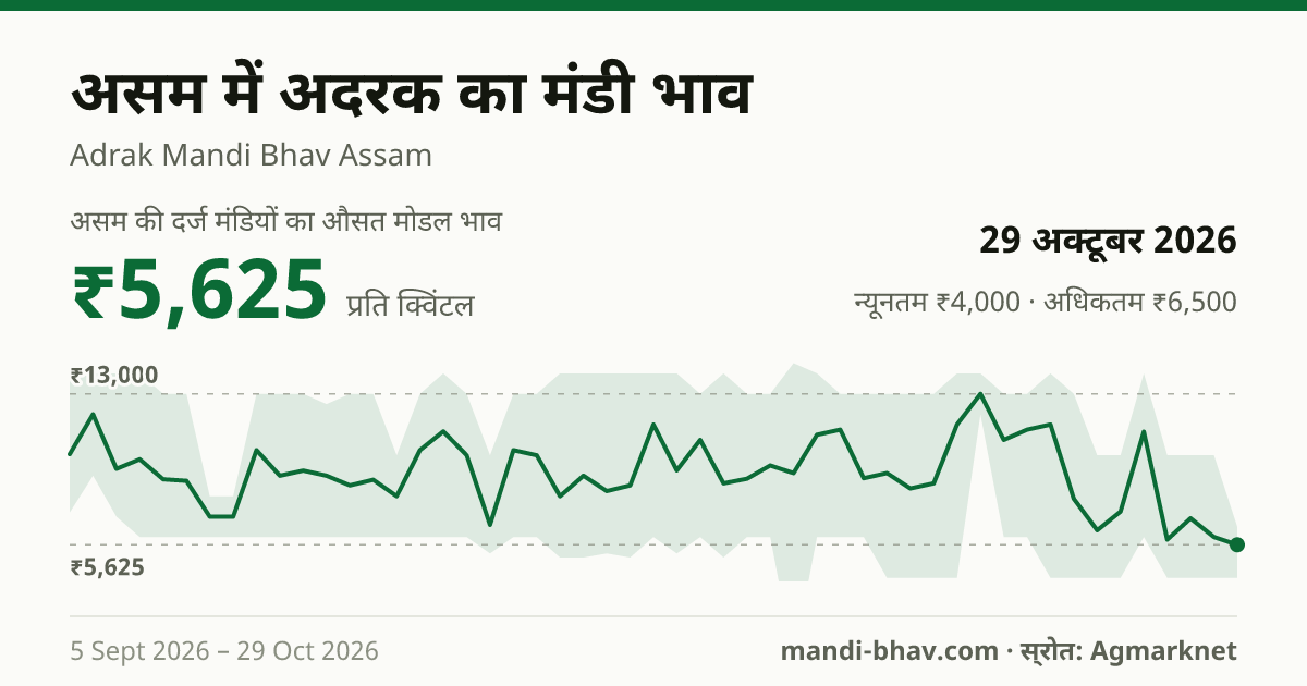 असम में अदरक का मंडी भाव 29 अक्टूबर 2026: औसत मोडल ₹5,625 प्रति क्विंटल, भाव के रुझान का चार्ट