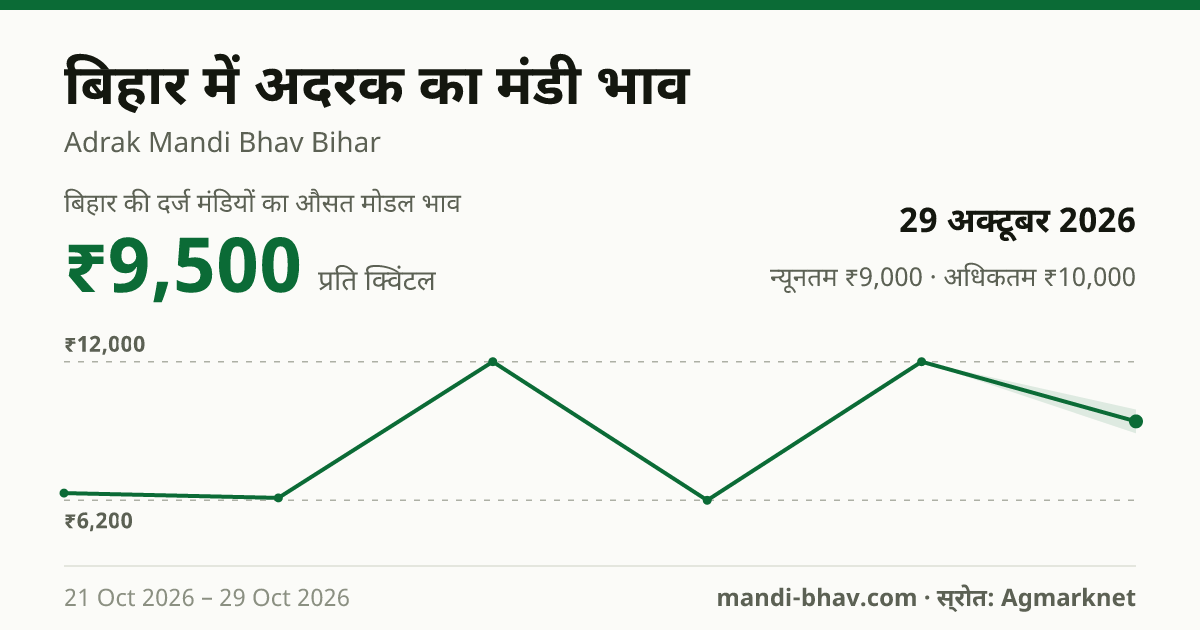 बिहार में अदरक का मंडी भाव 29 अक्टूबर 2026: औसत मोडल ₹9,500 प्रति क्विंटल, भाव के रुझान का चार्ट
