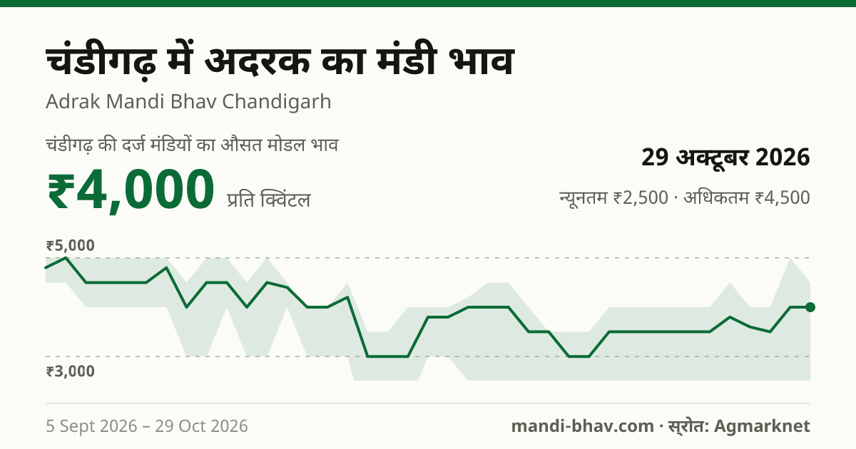 चंडीगढ़ में अदरक का मंडी भाव 29 अक्टूबर 2026: औसत मोडल ₹4,000 प्रति क्विंटल, भाव के रुझान का चार्ट