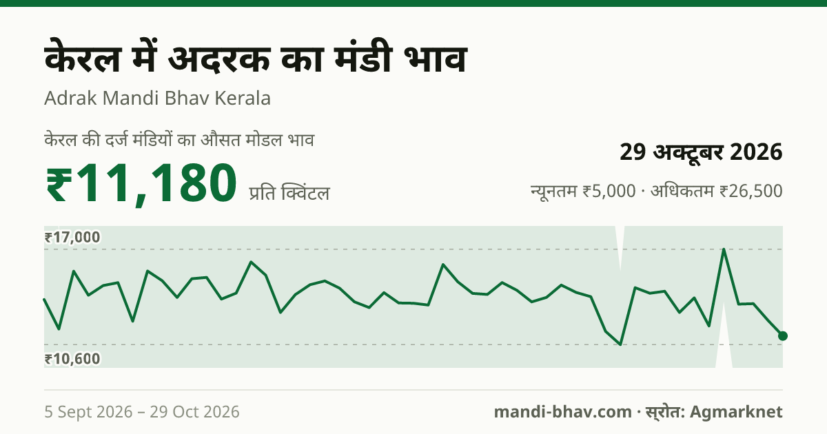 केरल में अदरक का मंडी भाव 29 अक्टूबर 2026: औसत मोडल ₹11,180 प्रति क्विंटल, भाव के रुझान का चार्ट