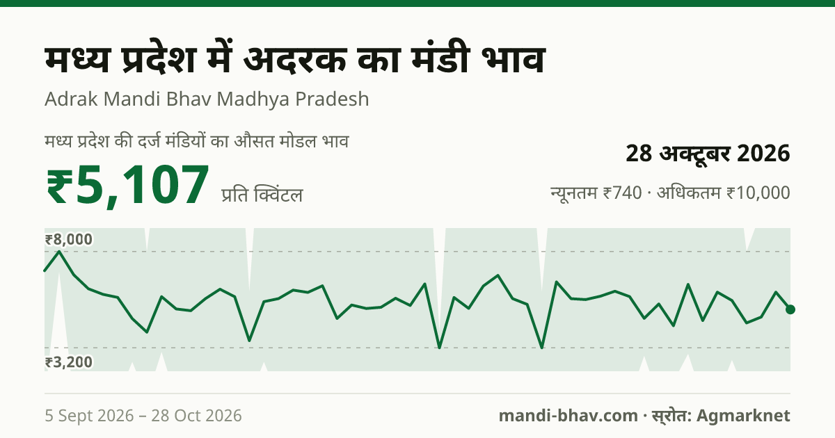 मध्य प्रदेश में अदरक का मंडी भाव 28 अक्टूबर 2026: औसत मोडल ₹5,107 प्रति क्विंटल, भाव के रुझान का चार्ट