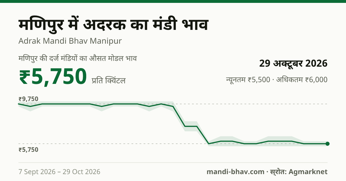 मणिपुर में अदरक का मंडी भाव 29 अक्टूबर 2026: औसत मोडल ₹5,750 प्रति क्विंटल, भाव के रुझान का चार्ट