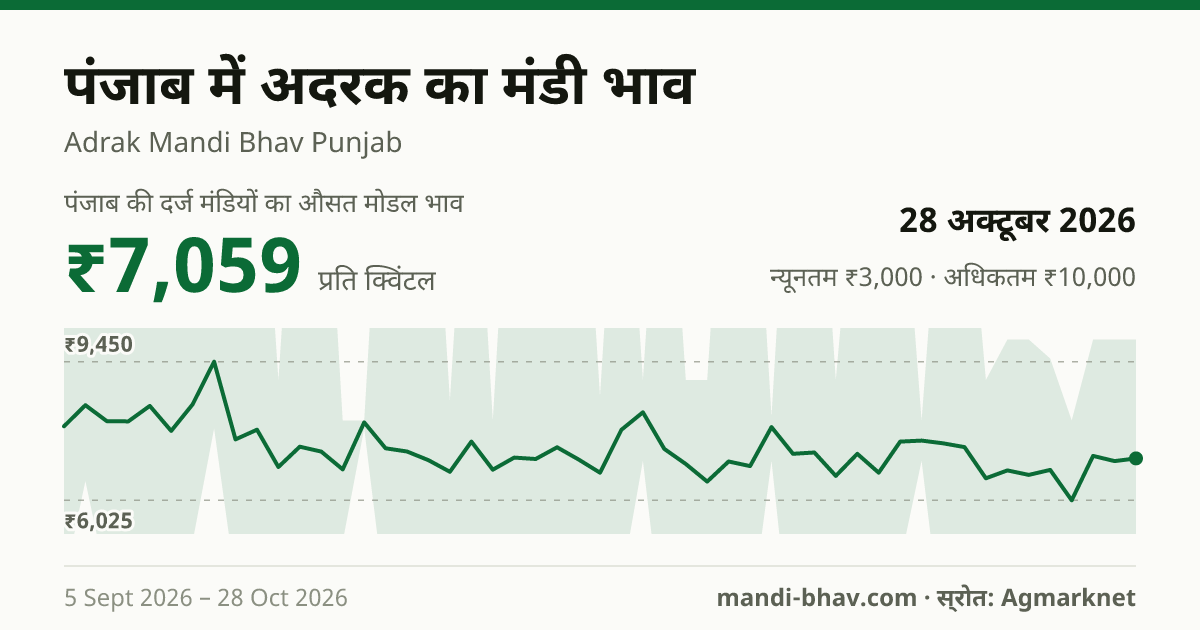 पंजाब में अदरक का मंडी भाव 28 अक्टूबर 2026: औसत मोडल ₹7,059 प्रति क्विंटल, भाव के रुझान का चार्ट