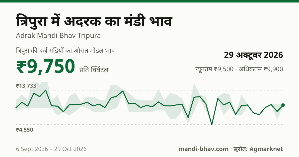 त्रिपुरा में अदरक का मंडी भाव 29 अक्टूबर 2026: औसत मोडल ₹9,600 प्रति क्विंटल, भाव के रुझान का चार्ट