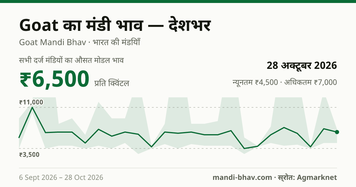 देशभर में Goat का मंडी भाव 28 अक्टूबर 2026: औसत मोडल ₹6,500 प्रति क्विंटल, भाव के रुझान का चार्ट