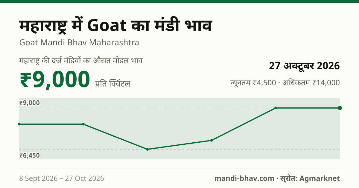 महाराष्ट्र में Goat का मंडी भाव 27 अक्टूबर 2026: औसत मोडल ₹9,000 प्रति क्विंटल, भाव के रुझान का चार्ट