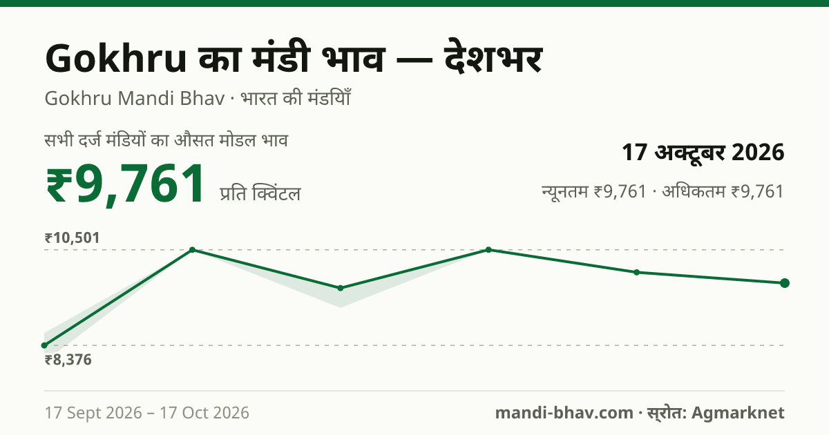 देशभर में Gokhru का मंडी भाव 17 अक्टूबर 2026: औसत मोडल ₹9,761 प्रति क्विंटल, भाव के रुझान का चार्ट