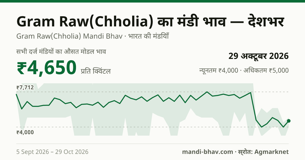 देशभर में Gram Raw(Chholia) का मंडी भाव 29 अक्टूबर 2026: औसत मोडल ₹4,650 प्रति क्विंटल, भाव के रुझान का चार्ट