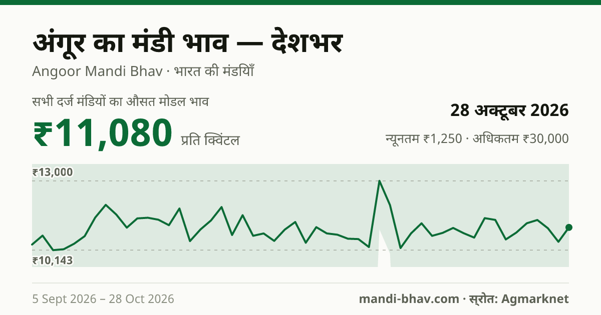 देशभर में अंगूर का मंडी भाव 28 अक्टूबर 2026: औसत मोडल ₹10,855 प्रति क्विंटल, भाव के रुझान का चार्ट