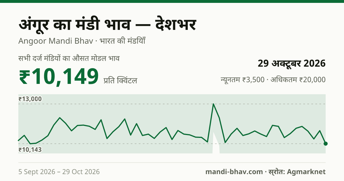 देशभर में अंगूर का मंडी भाव 29 अक्टूबर 2026: औसत मोडल ₹10,149 प्रति क्विंटल, भाव के रुझान का चार्ट