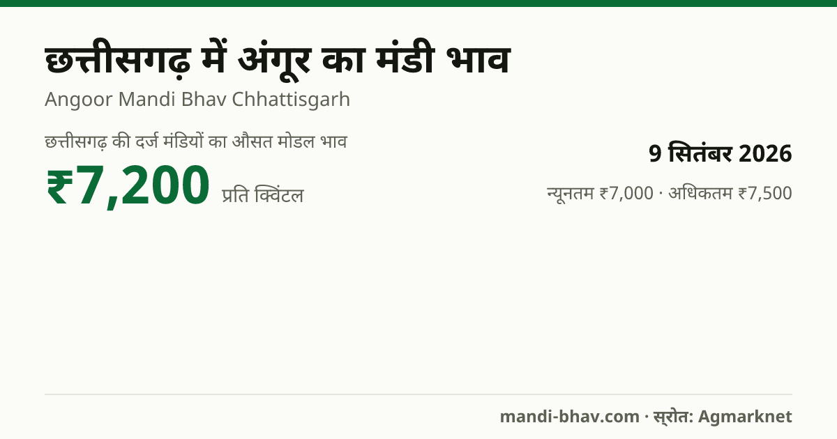 छत्तीसगढ़ में अंगूर का मंडी भाव 9 सितंबर 2026: औसत मोडल ₹7,200 प्रति क्विंटल, भाव के रुझान का चार्ट