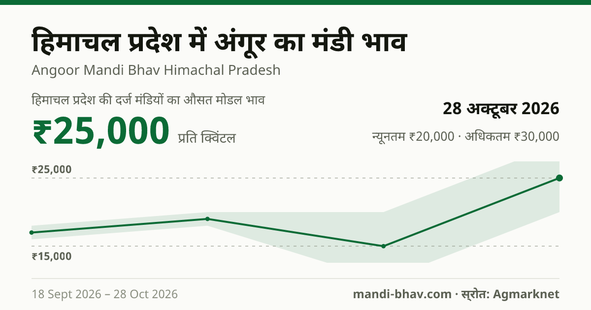 हिमाचल प्रदेश में अंगूर का मंडी भाव 28 अक्टूबर 2026: औसत मोडल ₹25,000 प्रति क्विंटल, भाव के रुझान का चार्ट