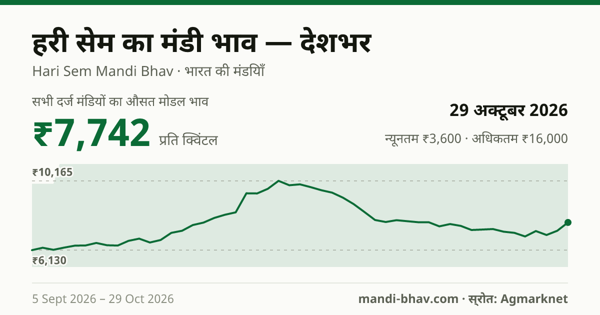 देशभर में Green Avare(W) का मंडी भाव 29 अक्टूबर 2026: औसत मोडल ₹7,742 प्रति क्विंटल, भाव के रुझान का चार्ट