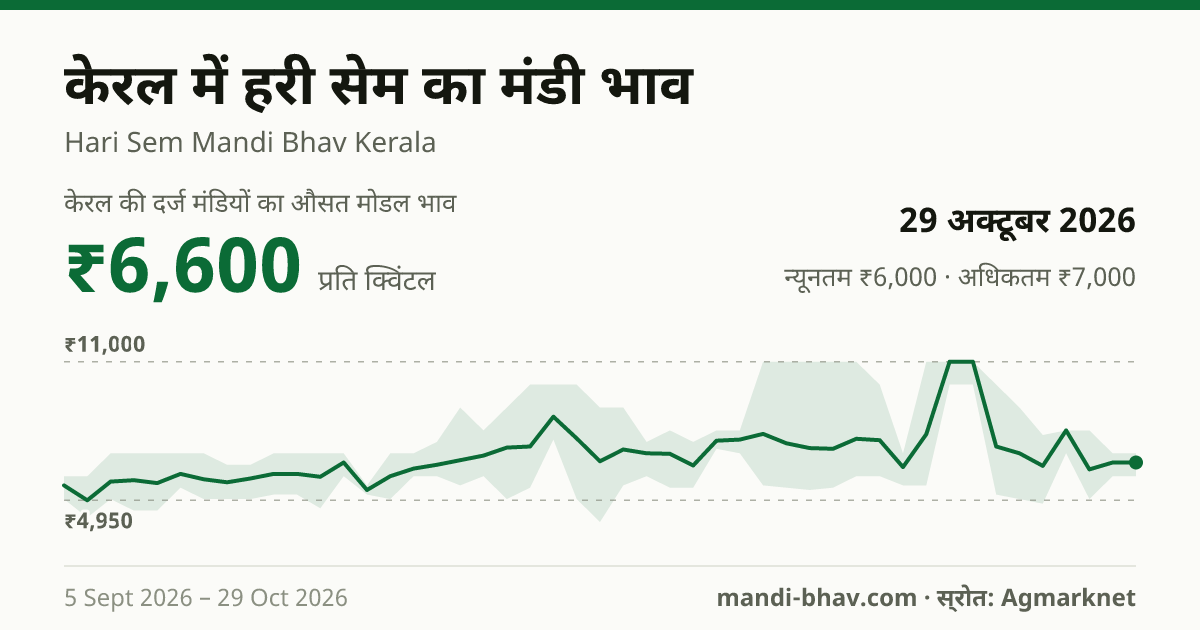 केरल में Green Avare(W) का मंडी भाव 29 अक्टूबर 2026: औसत मोडल ₹6,600 प्रति क्विंटल, भाव के रुझान का चार्ट