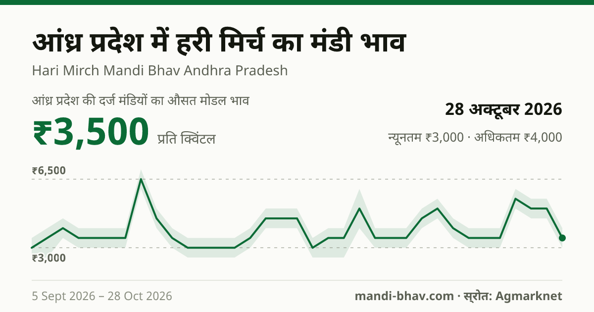 आंध्र प्रदेश में हरी मिर्च का मंडी भाव 28 अक्टूबर 2026: औसत मोडल ₹3,500 प्रति क्विंटल, भाव के रुझान का चार्ट
