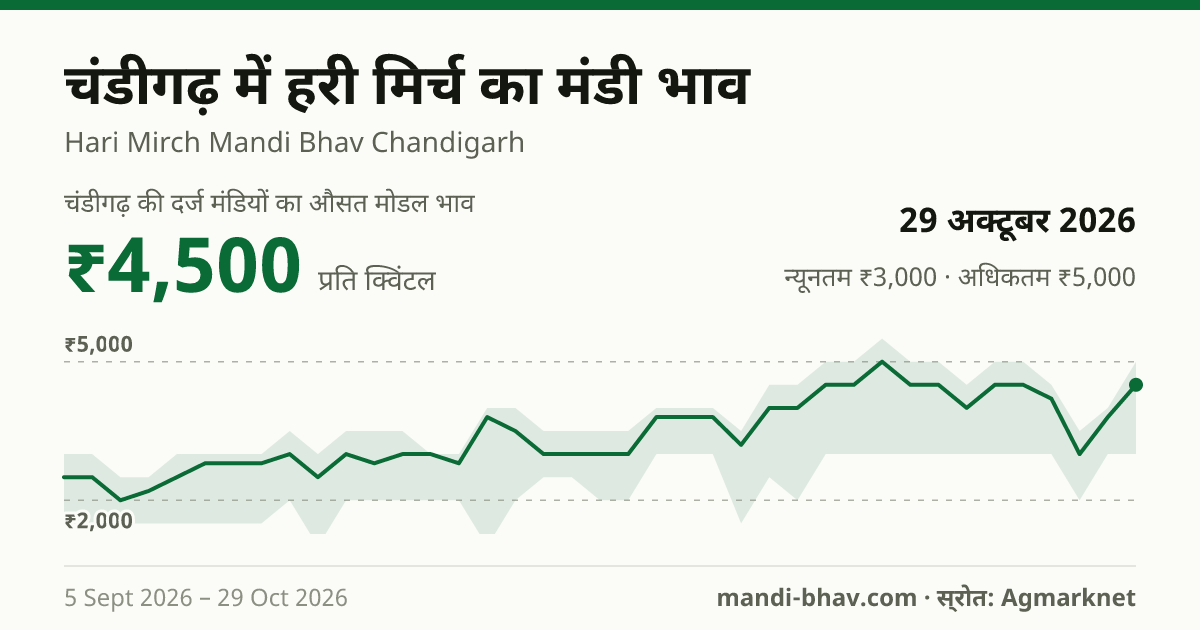चंडीगढ़ में हरी मिर्च का मंडी भाव 29 अक्टूबर 2026: औसत मोडल ₹4,500 प्रति क्विंटल, भाव के रुझान का चार्ट