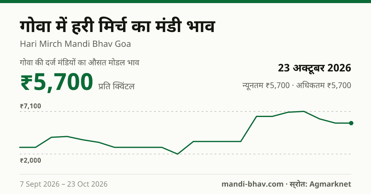 गोवा में हरी मिर्च का मंडी भाव 23 अक्टूबर 2026: औसत मोडल ₹5,700 प्रति क्विंटल, भाव के रुझान का चार्ट