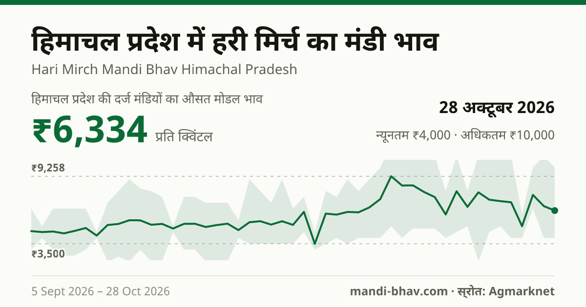 हिमाचल प्रदेश में हरी मिर्च का मंडी भाव 28 अक्टूबर 2026: औसत मोडल ₹6,334 प्रति क्विंटल, भाव के रुझान का चार्ट
