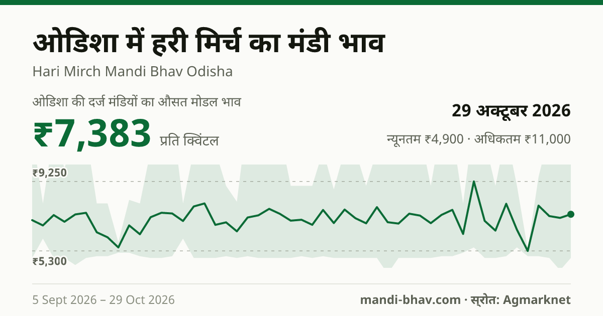 ओडिशा में हरी मिर्च का मंडी भाव 29 अक्टूबर 2026: औसत मोडल ₹7,000 प्रति क्विंटल, भाव के रुझान का चार्ट