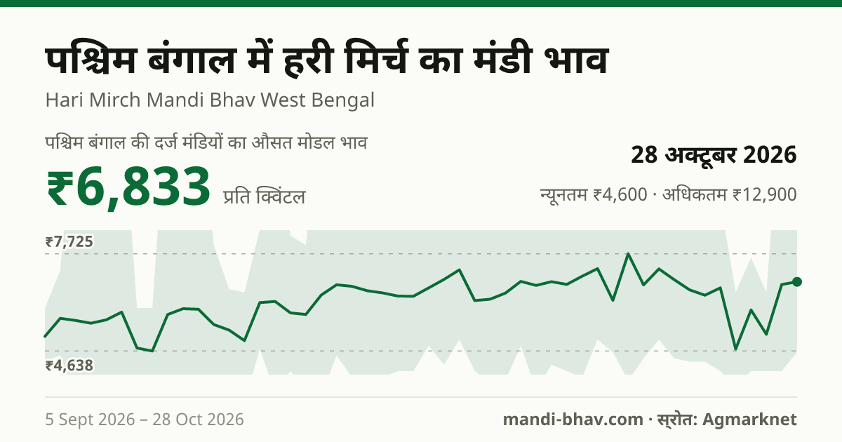 पश्चिम बंगाल में हरी मिर्च का मंडी भाव 28 अक्टूबर 2026: औसत मोडल ₹7,131 प्रति क्विंटल, भाव के रुझान का चार्ट