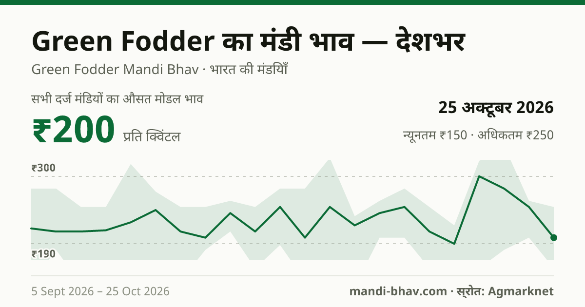 देशभर में Green Fodder का मंडी भाव 25 अक्टूबर 2026: औसत मोडल ₹200 प्रति क्विंटल, भाव के रुझान का चार्ट
