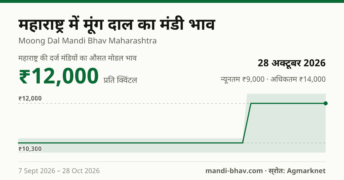 महाराष्ट्र में मूंग दाल का मंडी भाव 28 अक्टूबर 2026: औसत मोडल ₹12,000 प्रति क्विंटल, भाव के रुझान का चार्ट