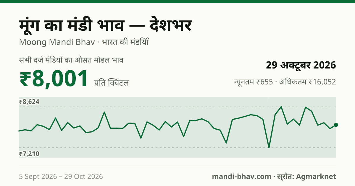 देशभर में मूंग का मंडी भाव 29 अक्टूबर 2026: औसत मोडल ₹8,259 प्रति क्विंटल, भाव के रुझान का चार्ट