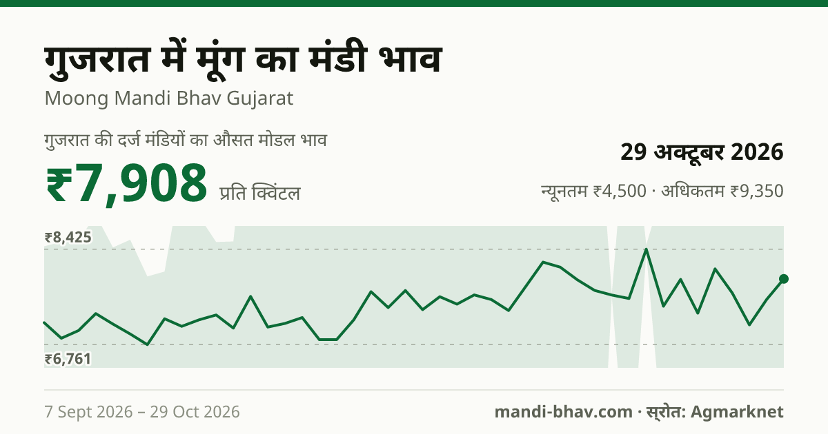 गुजरात में मूंग का मंडी भाव 29 अक्टूबर 2026: औसत मोडल ₹7,908 प्रति क्विंटल, भाव के रुझान का चार्ट