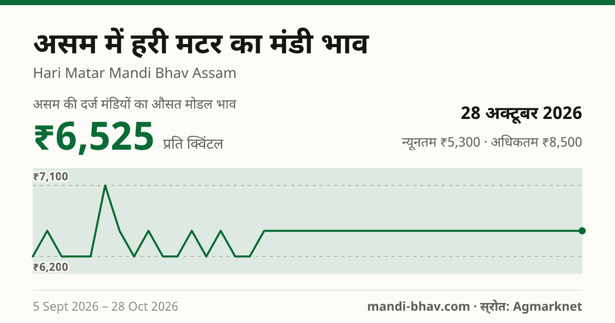 असम में हरी मटर का मंडी भाव 28 अक्टूबर 2026: औसत मोडल ₹6,525 प्रति क्विंटल, भाव के रुझान का चार्ट