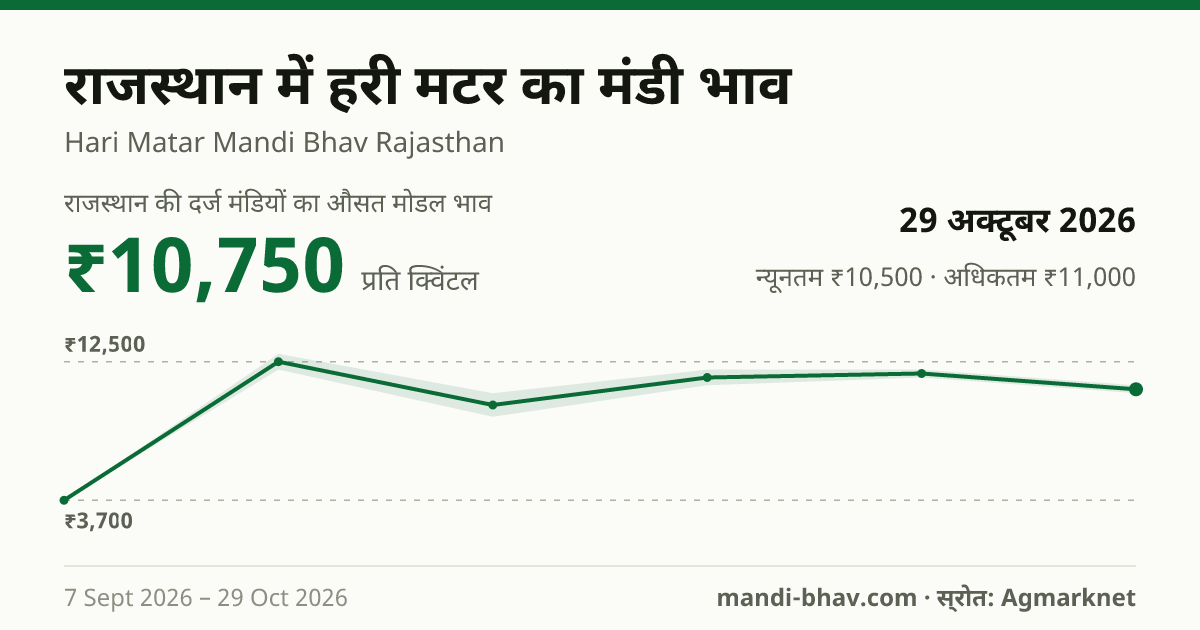 राजस्थान में हरी मटर का मंडी भाव 29 अक्टूबर 2026: औसत मोडल ₹10,750 प्रति क्विंटल, भाव के रुझान का चार्ट