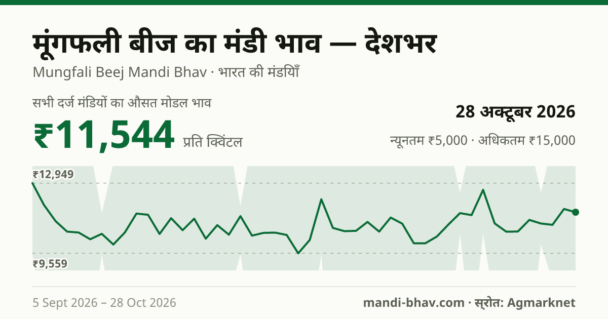 देशभर में मूंगफली बीज का मंडी भाव 28 अक्टूबर 2026: औसत मोडल ₹11,544 प्रति क्विंटल, भाव के रुझान का चार्ट
