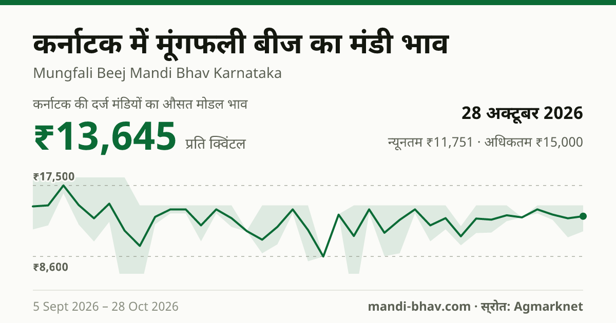 कर्नाटक में मूंगफली बीज का मंडी भाव 28 अक्टूबर 2026: औसत मोडल ₹13,645 प्रति क्विंटल, भाव के रुझान का चार्ट
