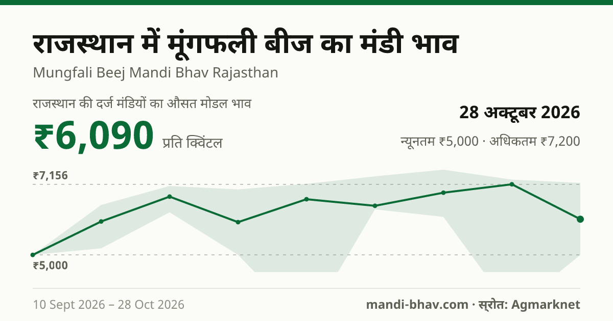 राजस्थान में मूंगफली बीज का मंडी भाव 28 अक्टूबर 2026: औसत मोडल ₹6,090 प्रति क्विंटल, भाव के रुझान का चार्ट