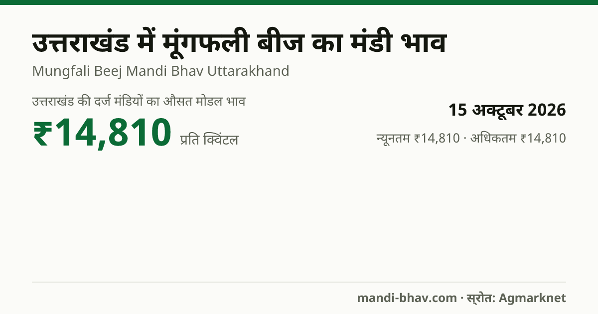 उत्तराखंड में मूंगफली बीज का मंडी भाव 15 अक्टूबर 2026: औसत मोडल ₹14,810 प्रति क्विंटल, भाव के रुझान का चार्ट