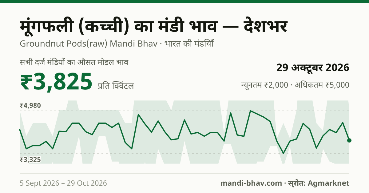 देशभर में मूंगफली (कच्ची) का मंडी भाव 29 अक्टूबर 2026: औसत मोडल ₹3,767 प्रति क्विंटल, भाव के रुझान का चार्ट