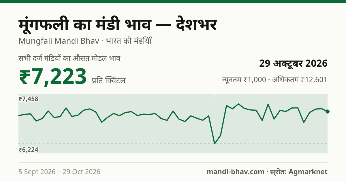 देशभर में मूंगफली का मंडी भाव 29 अक्टूबर 2026: औसत मोडल ₹6,937 प्रति क्विंटल, भाव के रुझान का चार्ट