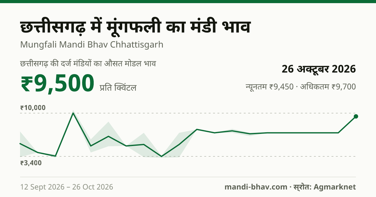 छत्तीसगढ़ में मूंगफली का मंडी भाव 26 अक्टूबर 2026: औसत मोडल ₹9,500 प्रति क्विंटल, भाव के रुझान का चार्ट