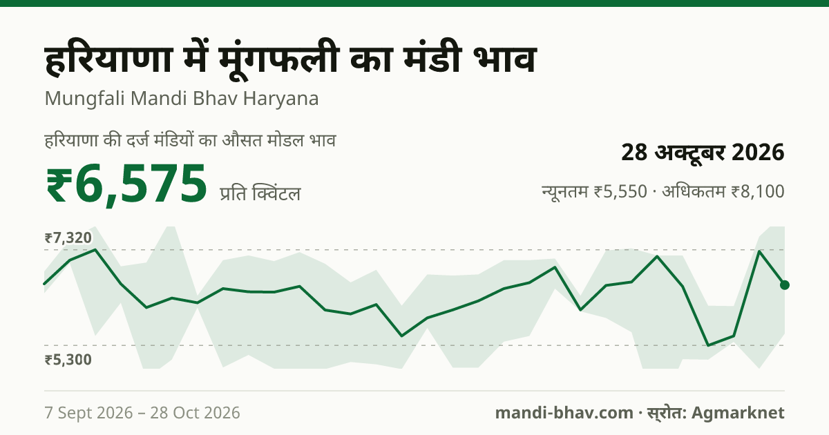 हरियाणा में मूंगफली का मंडी भाव 28 अक्टूबर 2026: औसत मोडल ₹6,575 प्रति क्विंटल, भाव के रुझान का चार्ट