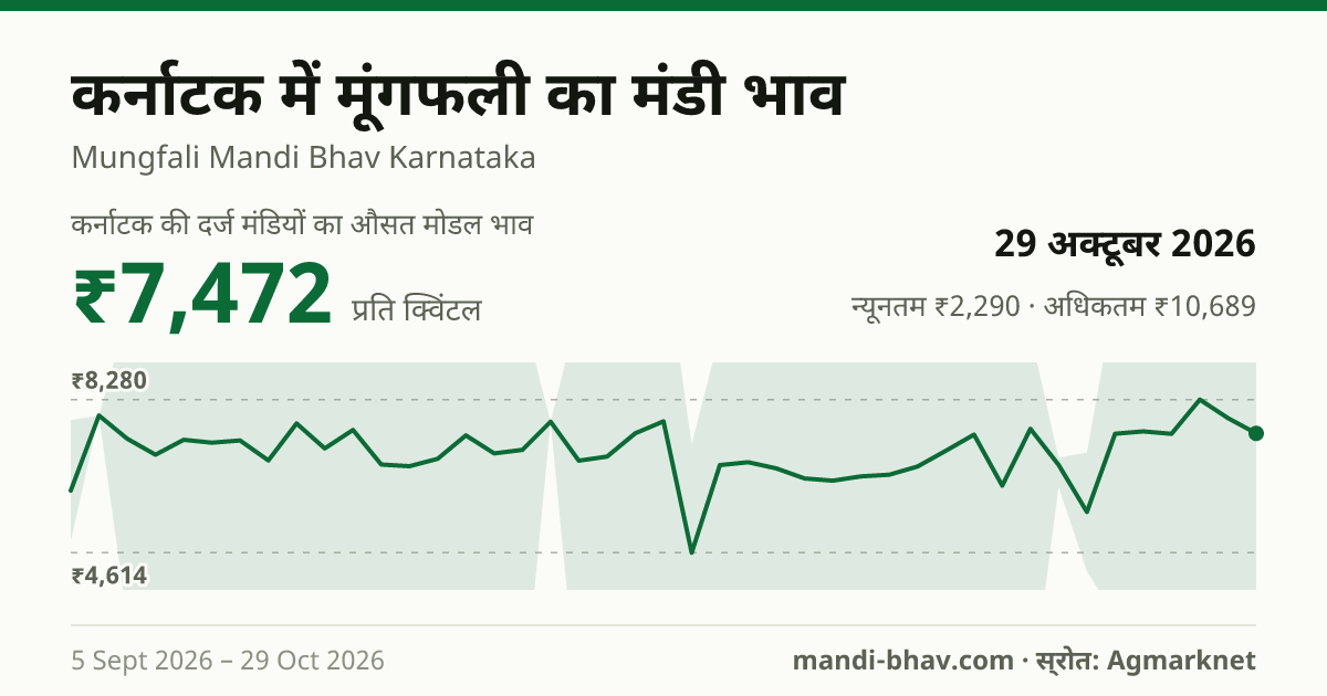 कर्नाटक में मूंगफली का मंडी भाव 29 अक्टूबर 2026: औसत मोडल ₹6,781 प्रति क्विंटल, भाव के रुझान का चार्ट