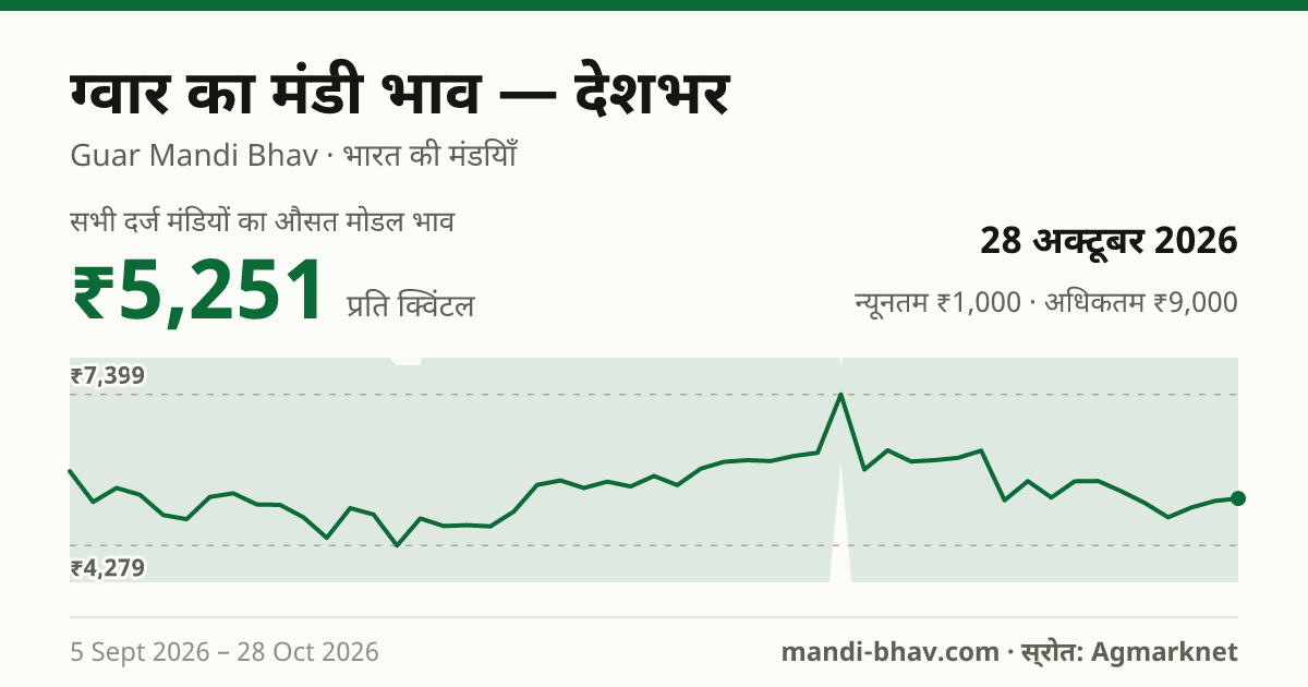 देशभर में ग्वार का मंडी भाव 28 अक्टूबर 2026: औसत मोडल ₹5,251 प्रति क्विंटल, भाव के रुझान का चार्ट