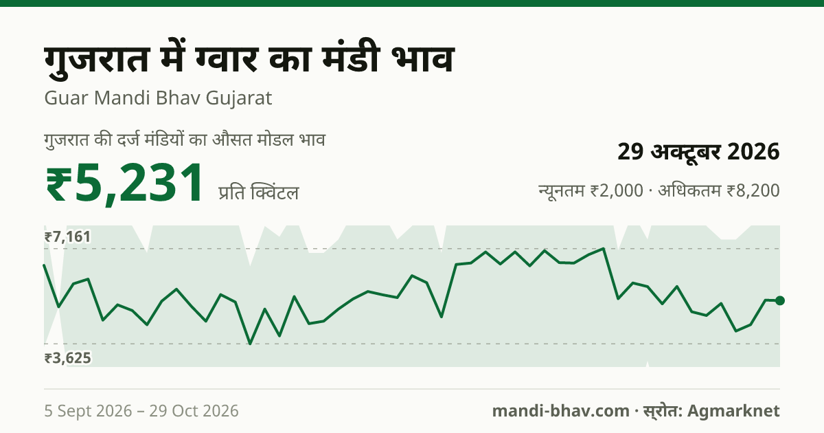 गुजरात में ग्वार का मंडी भाव 29 अक्टूबर 2026: औसत मोडल ₹5,292 प्रति क्विंटल, भाव के रुझान का चार्ट