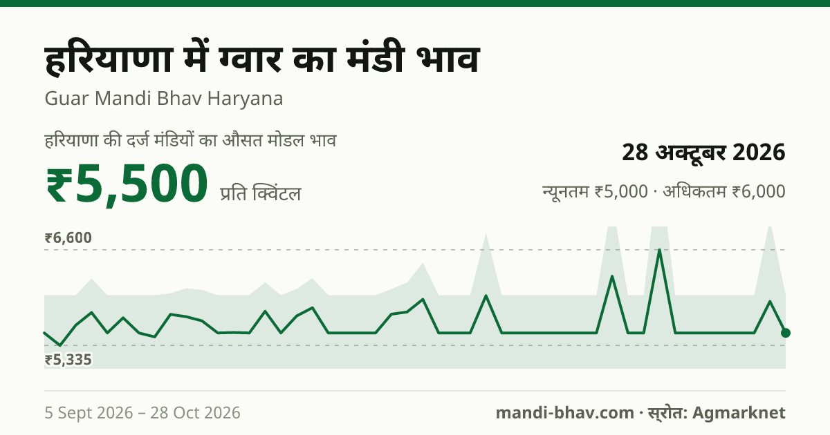 हरियाणा में ग्वार का मंडी भाव 28 अक्टूबर 2026: औसत मोडल ₹5,500 प्रति क्विंटल, भाव के रुझान का चार्ट
