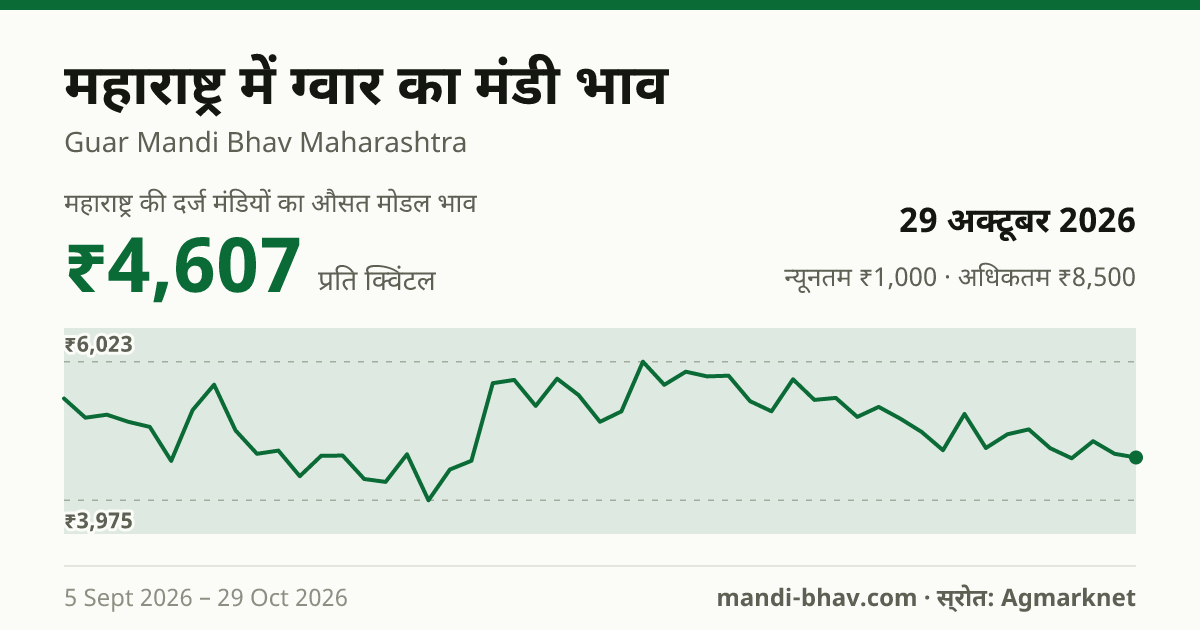 महाराष्ट्र में ग्वार का मंडी भाव 29 अक्टूबर 2026: औसत मोडल ₹5,000 प्रति क्विंटल, भाव के रुझान का चार्ट