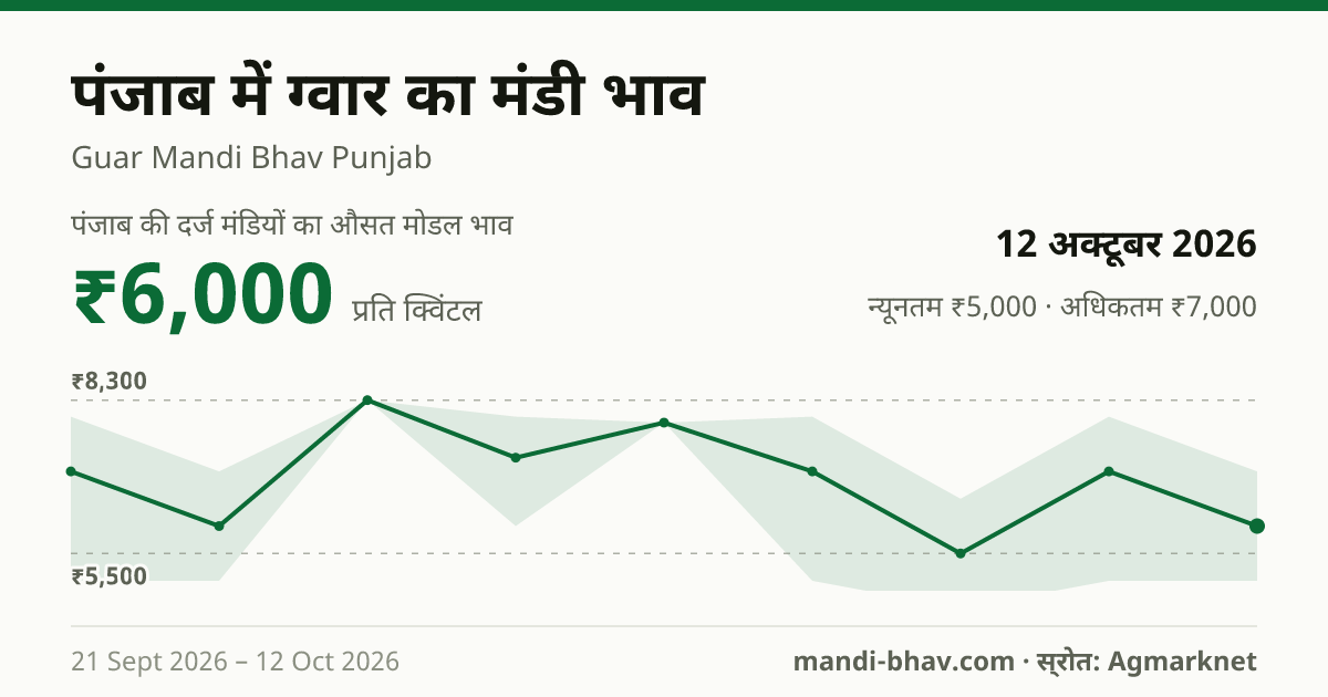 पंजाब में ग्वार का मंडी भाव 12 अक्टूबर 2026: औसत मोडल ₹6,000 प्रति क्विंटल, भाव के रुझान का चार्ट