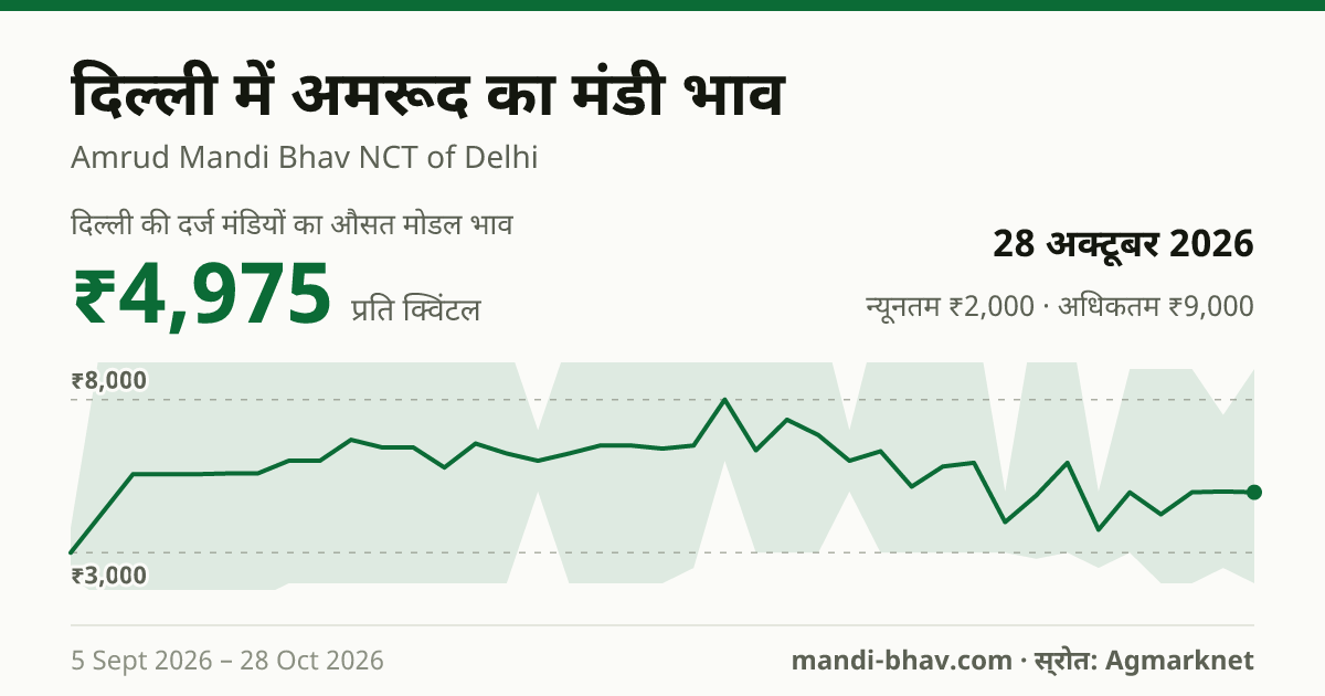 दिल्ली में अमरूद का मंडी भाव 28 अक्टूबर 2026: औसत मोडल ₹4,975 प्रति क्विंटल, भाव के रुझान का चार्ट