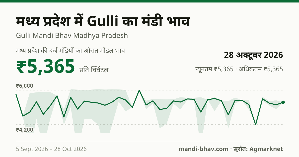मध्य प्रदेश में Gulli का मंडी भाव 28 अक्टूबर 2026: औसत मोडल ₹5,365 प्रति क्विंटल, भाव के रुझान का चार्ट