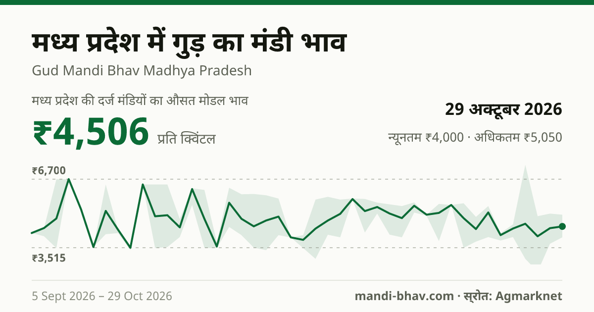 मध्य प्रदेश में गुड़ का मंडी भाव 29 अक्टूबर 2026: औसत मोडल ₹4,467 प्रति क्विंटल, भाव के रुझान का चार्ट